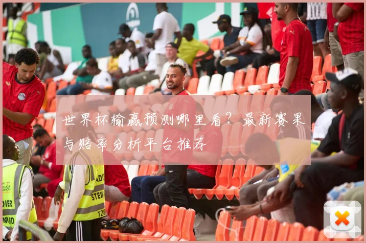 世界杯输赢预测哪里看?最新赛果与赔率分析平台推荐