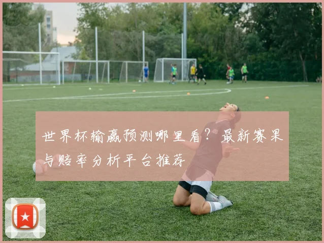 世界杯输赢预测哪里看?最新赛果与赔率分析平台推荐