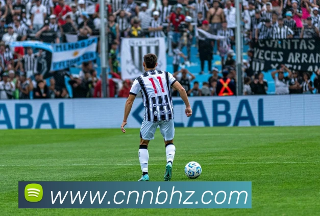 宝赢体育官网首页平台生态图